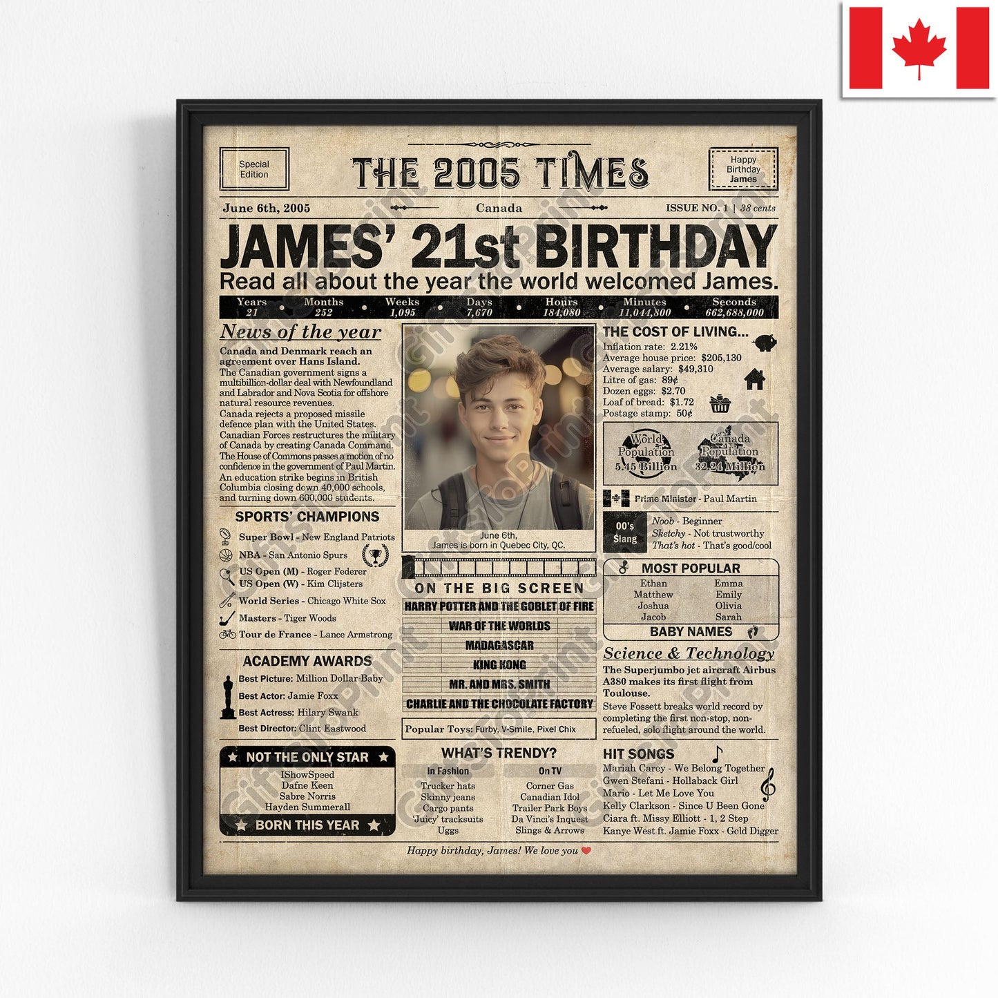 Personalized 21st Birthday Gift: A Printable CANADIAN Birthday Poster of 2005